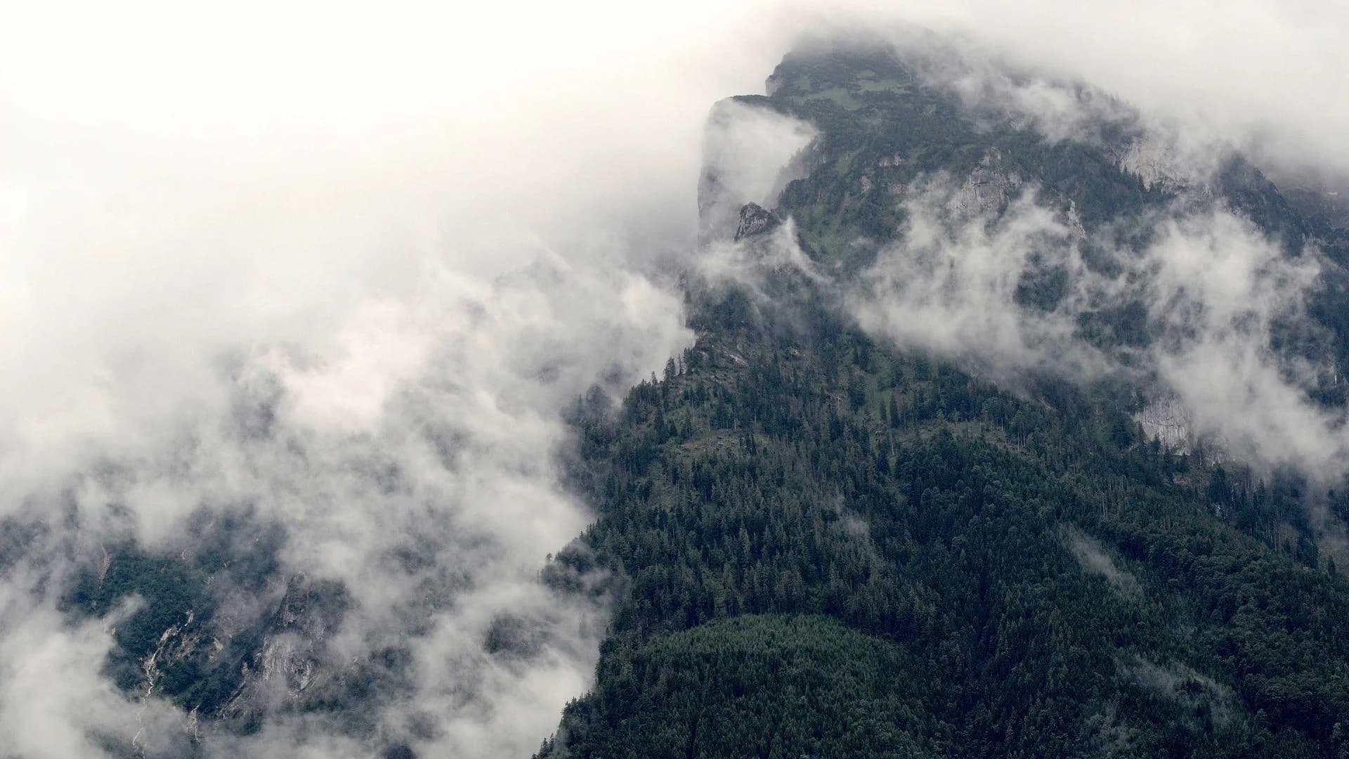 TOML vs INI vs ENV: Why Configuration is Still Broken in 2026