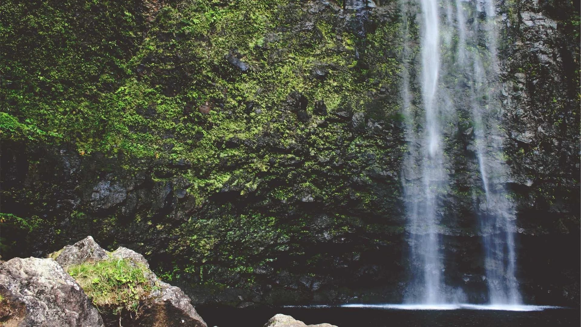 Deep Dive: Why Phoenix LiveView Streams Change Everything in 2026